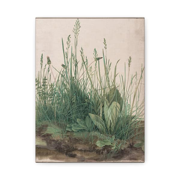 6951463692717773623_2048-1.jpeg The Great Piece of Turf – Albrecht Dürer (1503) – Botanical Canvas Print