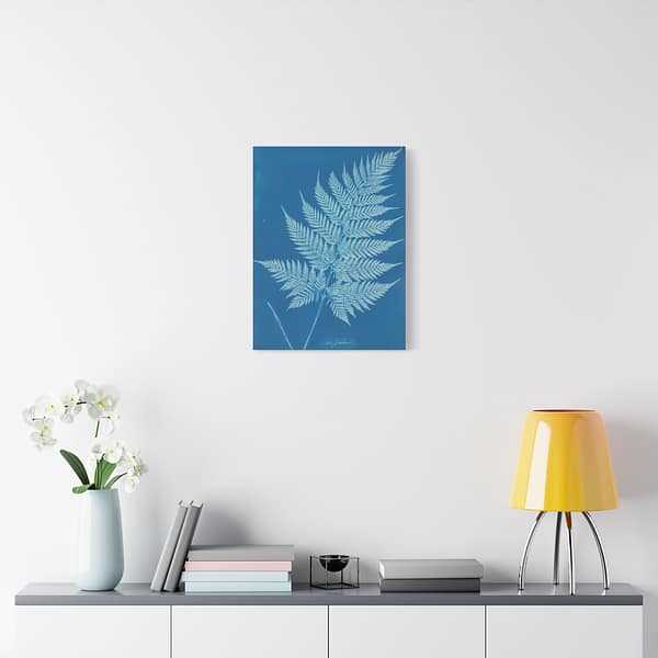 7251515973656275197_2048-1.jpeg New Zealand Cyanotype – Anna Atkins (c. 1853-54) – Botanical Canvas Print