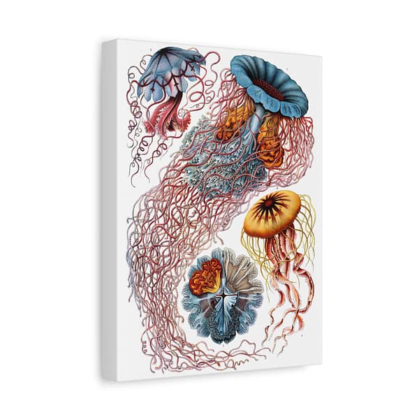 7253925407570110311_2048-1.jpeg Jellyfish (Discomedusae), Kunstformen der Natur – Ernst Haeckel (1904) – Natural History Canvas Print