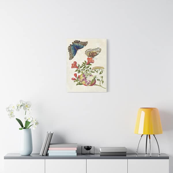 7872633207547691227_2048-1.jpeg Metamorphosis Insectorum Surinamensium, plate 9 – Maria Sibylla Merian (1705) – Natural History Canvas Print