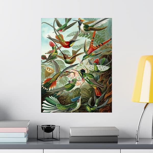 9483047242712480895_2048-1.jpeg Hummingbirds (Trochilidae), Kunstformen der Natur – Ernst Haeckel (1904) – Natural History Poster Print