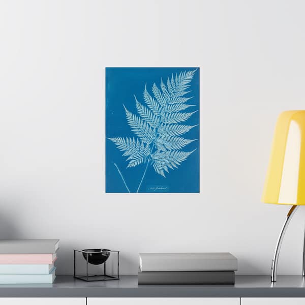 952706787907087422_2048-1.jpeg New Zealand Cyanotype – Anna Atkins (c. 1853-54) – Botanical Poster Print