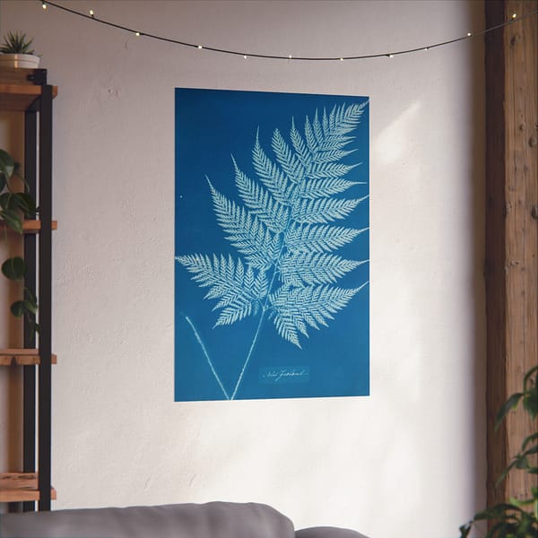 976023000163067797_2048-1.jpeg New Zealand Cyanotype – Anna Atkins (c. 1853-54) – Botanical Poster Print