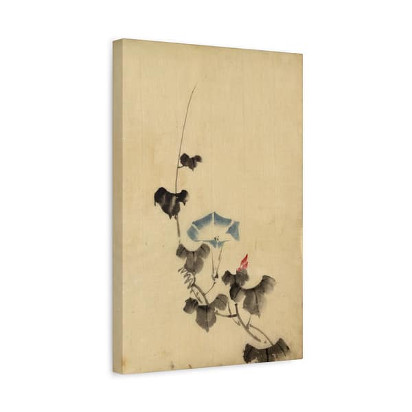 13454865179127643737_2048.jpeg Blue Blossom of Morning Glory on Vine - Katsushika Hokusai (1830) - Japanese Woodblock Canvas Print