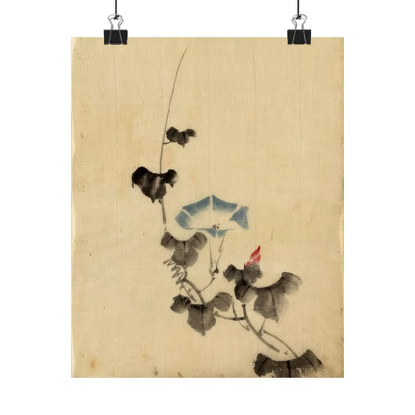 14150864871096184359_2048.jpeg Blue Blossom of Morning Glory on Vine - Katsushika Hokusai (1830) - Japanese Woodblock Poster Print