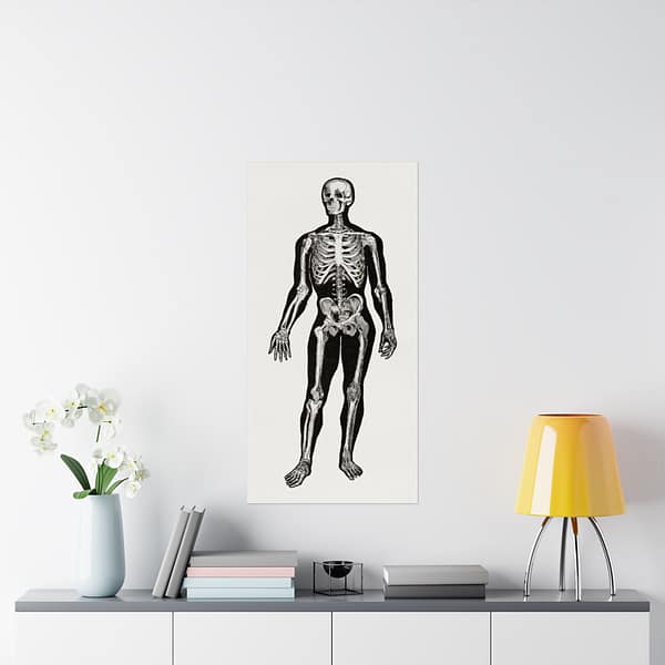 11374517703839788346_2048.jpeg Anatomy, Physiology and Hygiene - Human Skeleton Anatomy Lithograph - Henry Fox Hewes (1900) - Vintage Art Poster Print