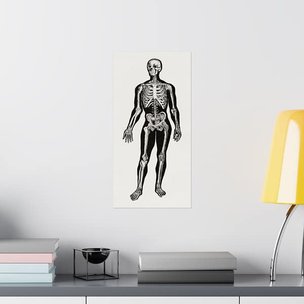 12430531075071387181_2048.jpeg Anatomy, Physiology and Hygiene - Human Skeleton Anatomy Lithograph - Henry Fox Hewes (1900) - Vintage Art Poster Print