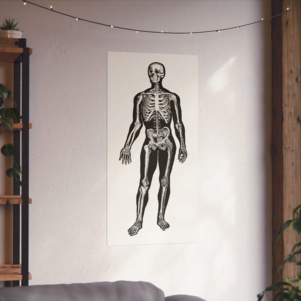 4219330864491854662_2048.jpeg Anatomy, Physiology and Hygiene - Human Skeleton Anatomy Lithograph - Henry Fox Hewes (1900) - Vintage Art Poster Print