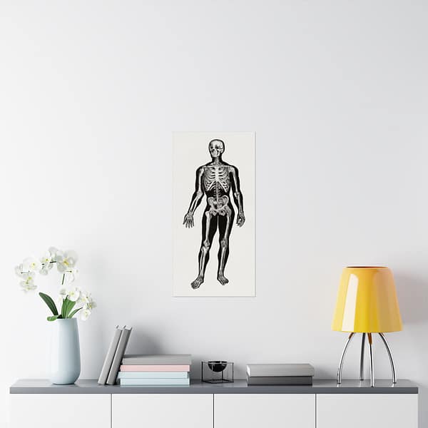 7375179370453103266_2048.jpeg Anatomy, Physiology and Hygiene - Human Skeleton Anatomy Lithograph - Henry Fox Hewes (1900) - Vintage Art Poster Print