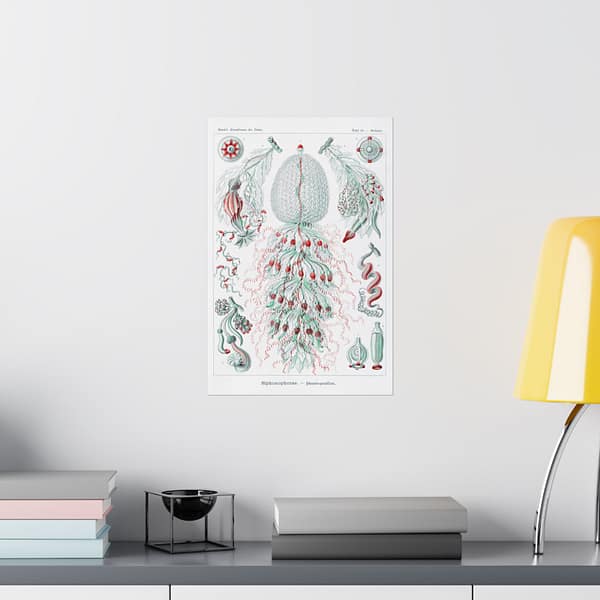 10018141435347025963_2048.jpeg Siphonophorae, Kunstformen der Natur, plate 59 – Ernst Haeckel (1904) – Natural History Poster Print