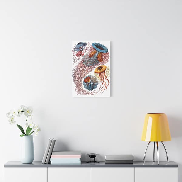 10023550106156752087_2048.jpeg Jellyfish (Discomedusae), Kunstformen der Natur – Ernst Haeckel (1904) – Natural History Canvas Print