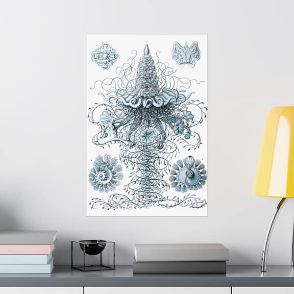 10191135901094156456_2048.jpeg Siphonophorae, Kunstformen der Natur, plate 37 – Ernst Haeckel (1904) – Natural History Poster Print