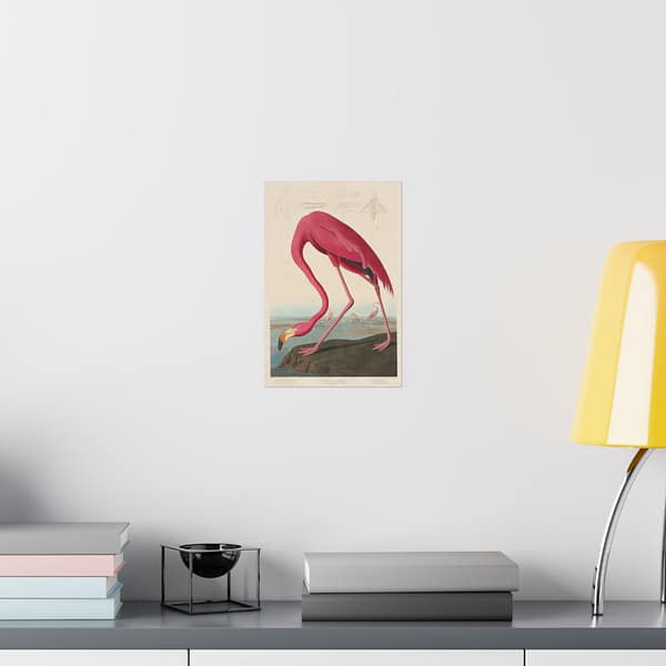 10245348522344251841_2048.jpeg American Flamingo, Birds of America – John James Audubon (1838) – Natural History Poster Print