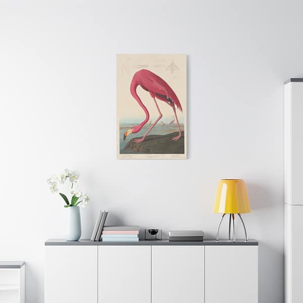10314157690396579910_2048.jpeg American Flamingo, Birds of America – John James Audubon (1838) – Natural History Canvas Print