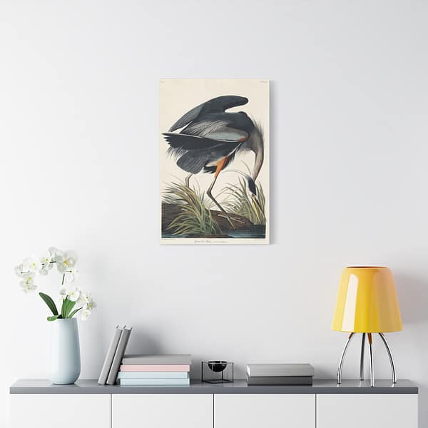 10710673553499606415_2048.jpeg Great Blue Heron, Birds of America – John James Audubon (1834) – Natural History Canvas Print