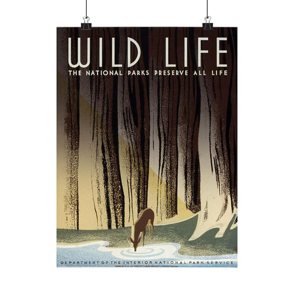 10717282407898684742_2048.jpeg Wild Life: The National Parks Preserve All Life – Works Progress Administration (c. 1930s) – Vintage Travel Poster Print