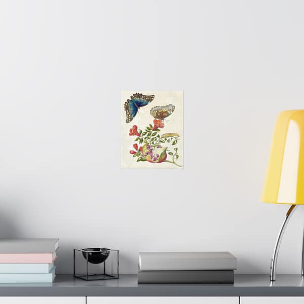 11288503306721662187_2048.jpeg Metamorphosis Insectorum Surinamensium, plate 9 – Maria Sibylla Merian (1705) – Natural History Poster Print