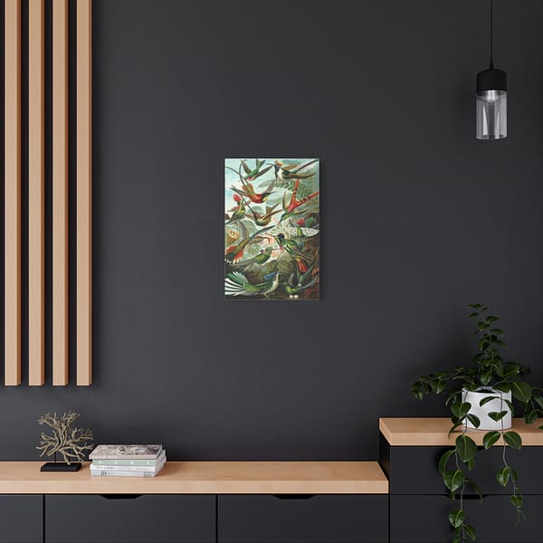 11769033368820150875_2048.jpeg Hummingbirds (Trochilidae), Kunstformen der Natur – Ernst Haeckel (1904) – Natural History Canvas Print