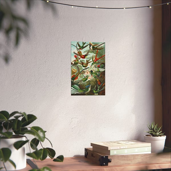 11844757230850439692_2048.jpeg Hummingbirds (Trochilidae), Kunstformen der Natur – Ernst Haeckel (1904) – Natural History Poster Print