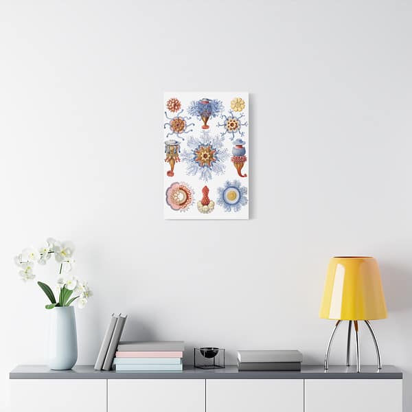 1194575554246300503_2048.jpeg Siphonophorae, Kunstformen der Natur, plate 17 – Ernst Haeckel (1904) – Natural History Canvas Print