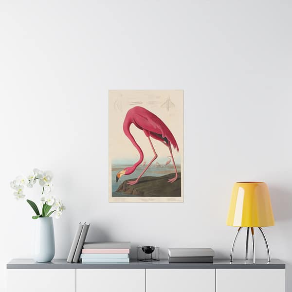12080686611632019033_2048.jpeg American Flamingo, Birds of America – John James Audubon (1838) – Natural History Poster Print