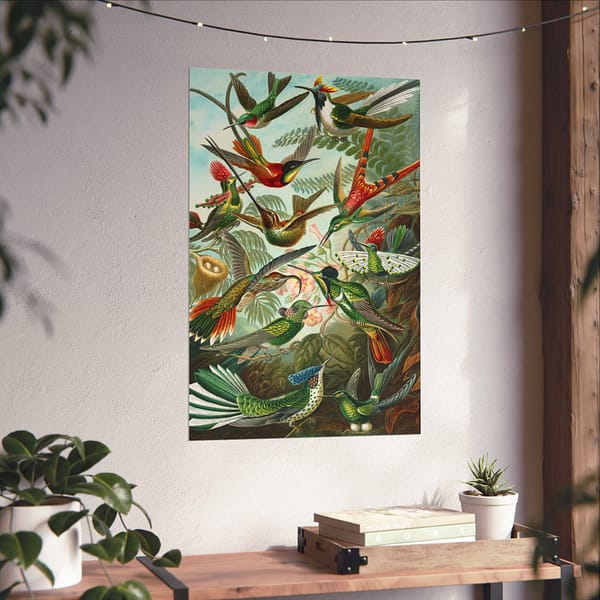 12082922193660443320_2048.jpeg Hummingbirds (Trochilidae), Kunstformen der Natur – Ernst Haeckel (1904) – Natural History Poster Print