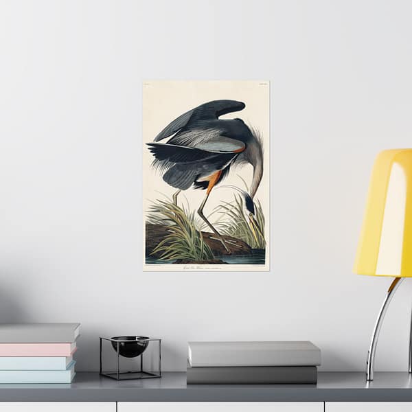 12124631581216081726_2048-1.jpeg Great Blue Heron, Birds of America – John James Audubon (1834) – Natural History Poster Print