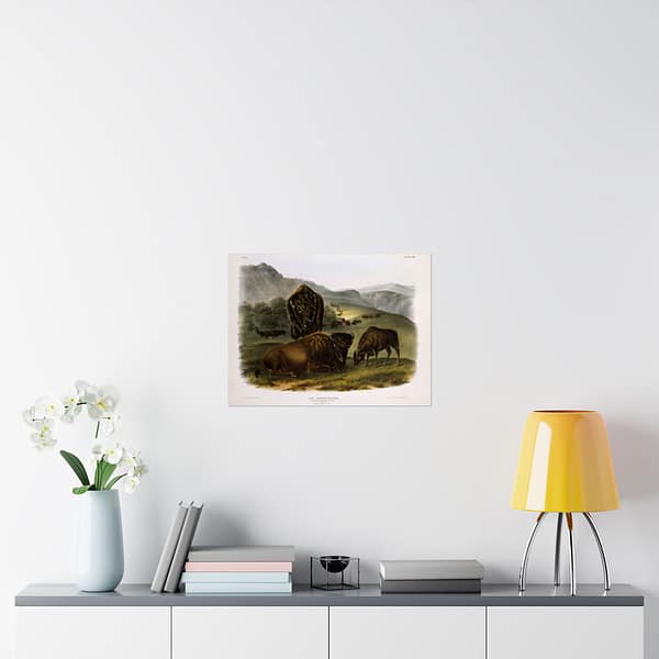 12368899806462382393_2048.jpeg Bos Americanus, American Bison or Buffalo, plate 57 – John James Audubon (1845) – Natural History Poster Print