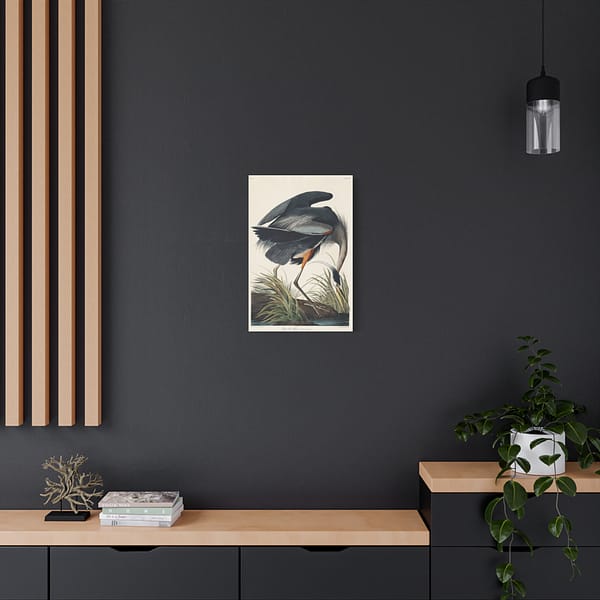 12500608260907241769_2048.jpeg Great Blue Heron, Birds of America – John James Audubon (1834) – Natural History Canvas Print