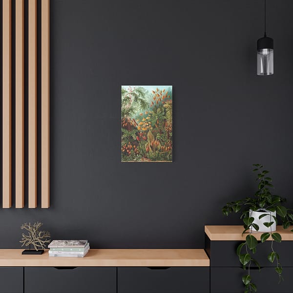 12607175135016657661_2048.jpeg Mosses (Muscinae), Kunstformen der Natur – Ernst Haeckel (1904) – Botanical Canvas Print