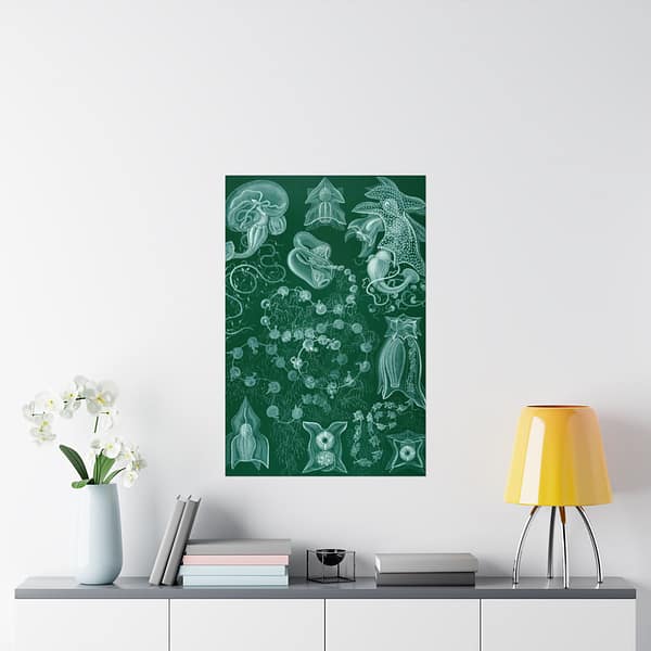 12622322079407466638_2048.jpeg Siphonophorae, Kunstformen der Natur, plate 77 – Ernst Haeckel (1904) – Natural History Poster Print
