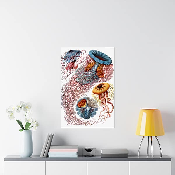 12661553510166986337_2048.jpeg Jellyfish (Discomedusae), Kunstformen der Natur – Ernst Haeckel (1904) – Natural History Poster Print