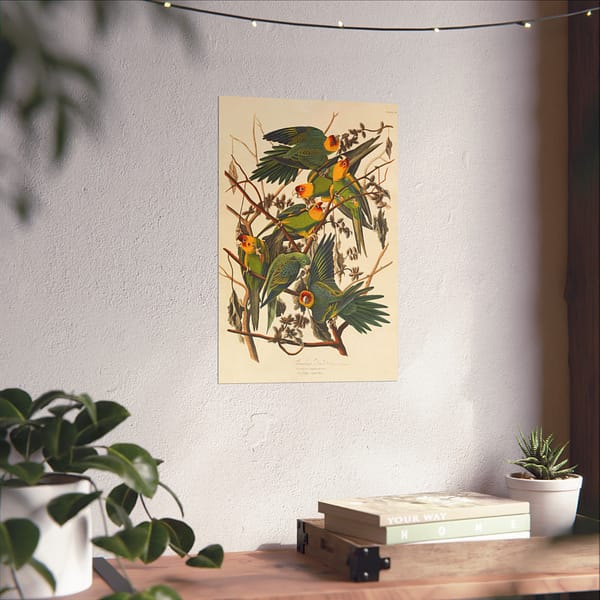 12781736442733243345_2048.jpeg Carolina Parakeet, Birds of America – John James Audubon (1828) – Natural History Poster Print