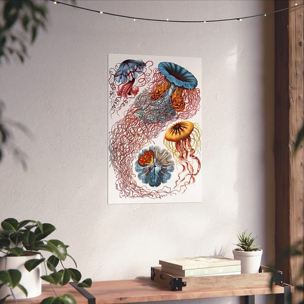 1297669041481683391_2048.jpeg Jellyfish (Discomedusae), Kunstformen der Natur – Ernst Haeckel (1904) – Natural History Poster Print
