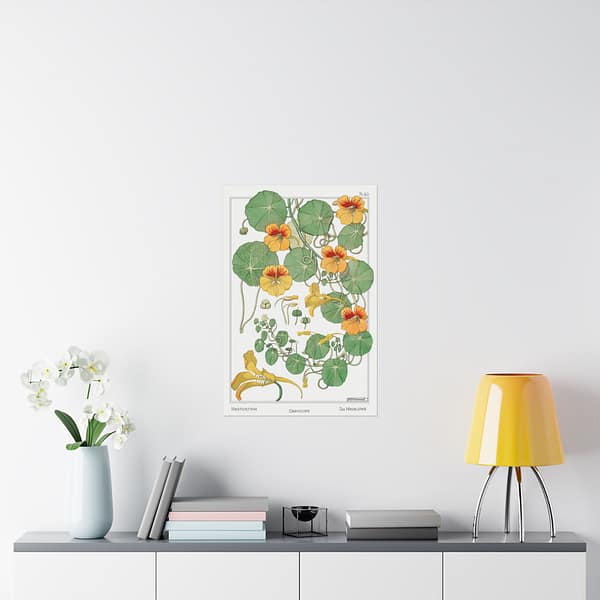 13235945725823576088_2048.jpeg Capucine (nasturtium), plate 40 from La Plante et ses Applications ornementales - Maurice Pillard Verneuil (1896) - Botanical Poster Print
