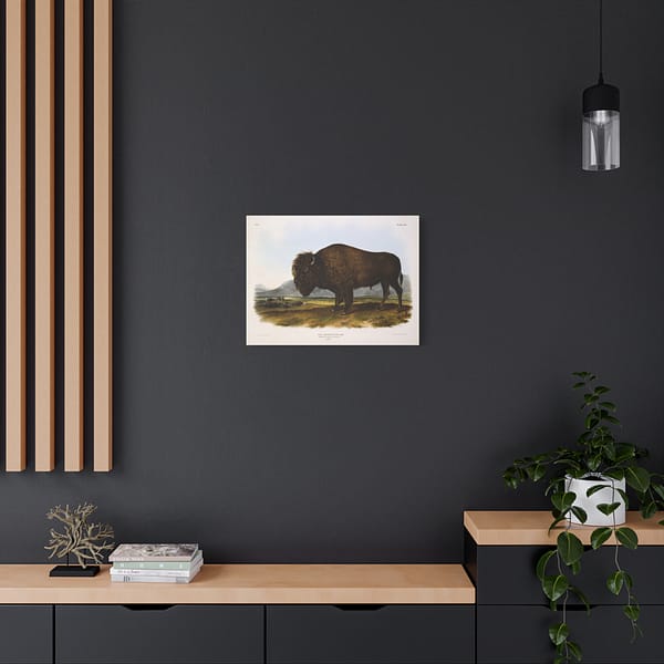 14001715310801035290_2048.jpeg Bos Americanus, American Bison or Buffalo, plate 56 – John James Audubon (1845) – Natural History Canvas Print