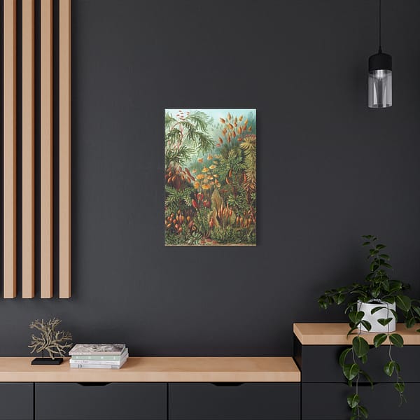 14144597861537102520_2048.jpeg Mosses (Muscinae), Kunstformen der Natur – Ernst Haeckel (1904) – Botanical Canvas Print