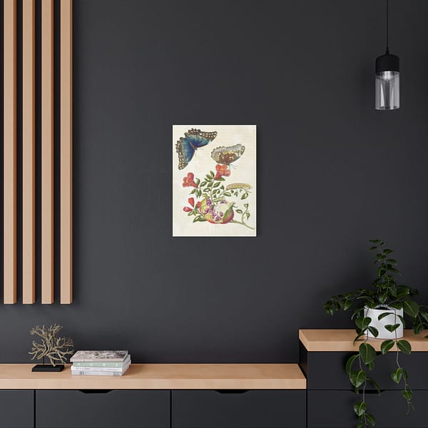 14197289655523065008_2048.jpeg Metamorphosis Insectorum Surinamensium, plate 9 – Maria Sibylla Merian (1705) – Natural History Canvas Print