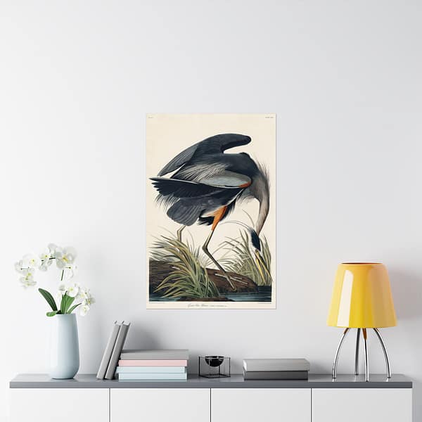 14235718620962386667_2048-1.jpeg Great Blue Heron, Birds of America – John James Audubon (1834) – Natural History Poster Print