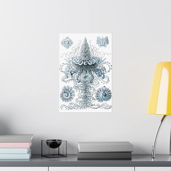 142427758338385606_2048.jpeg Siphonophorae, Kunstformen der Natur, plate 37 – Ernst Haeckel (1904) – Natural History Poster Print