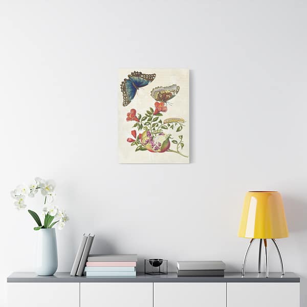 14472843892476818285_2048.jpeg Metamorphosis Insectorum Surinamensium, plate 9 – Maria Sibylla Merian (1705) – Natural History Canvas Print