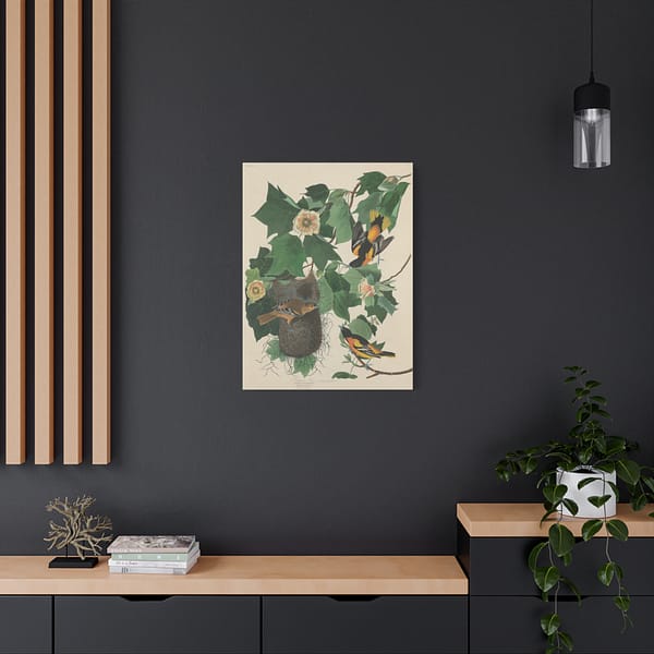 14569654491812669618_2048.jpeg Baltimore Oriole, Birds of America – John James Audubon (1827) – Natural History Canvas Print