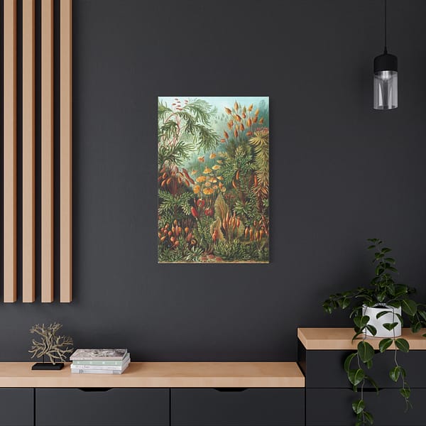 14731353234686643941_2048.jpeg Mosses (Muscinae), Kunstformen der Natur – Ernst Haeckel (1904) – Botanical Canvas Print