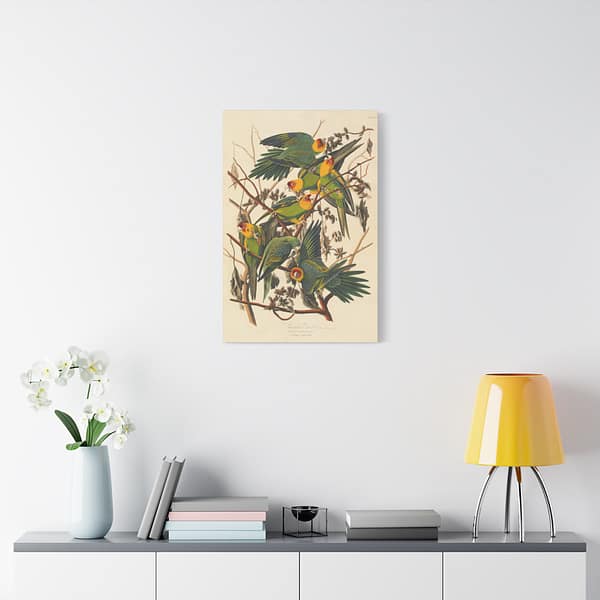 1490064342202331619_2048.jpeg Carolina Parakeet, Birds of America – John James Audubon (1828) – Natural History Canvas Print