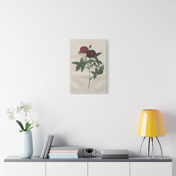 14960337035218176422_2048.jpeg Rosa Gallica Purpurea Velutina Parva (Rosier de Van-Eeden) – Pierre-Joseph Redouté (c. 1817-24) – Botanical Canvas Print