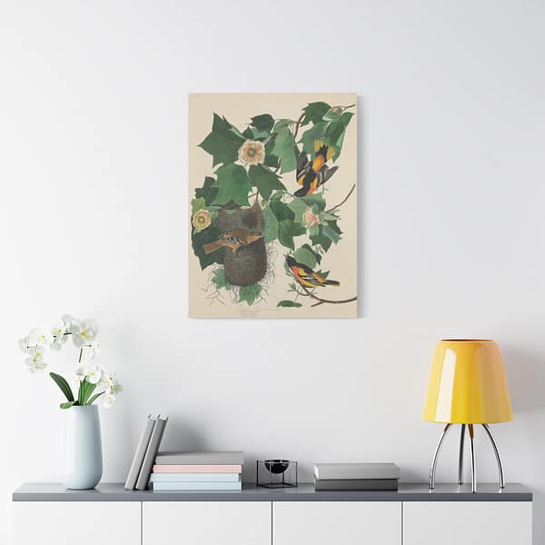 15068702233450790275_2048.jpeg Baltimore Oriole, Birds of America – John James Audubon (1827) – Natural History Canvas Print