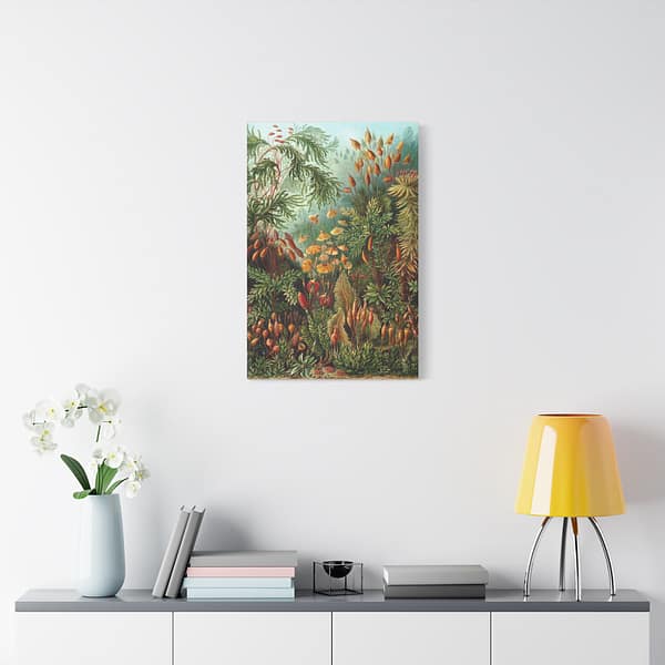 15129986384540165863_2048.jpeg Mosses (Muscinae), Kunstformen der Natur – Ernst Haeckel (1904) – Botanical Canvas Print
