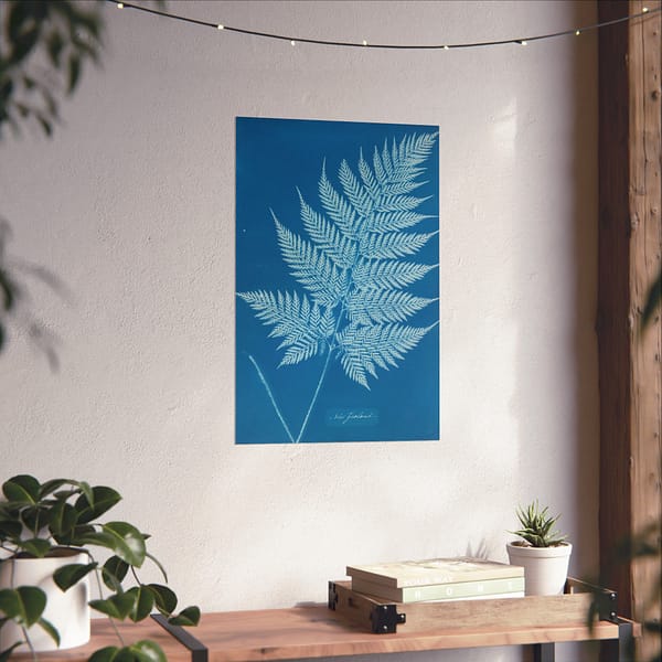 15191363878054466053_2048.jpeg New Zealand Fern Cyanotype – Anna Atkins (c. 1853-54) – Botanical Poster Print