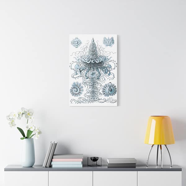 1537098359332017365_2048.jpeg Siphonophorae, Kunstformen der Natur, plate 37 – Ernst Haeckel (1904) – Natural History Canvas Print