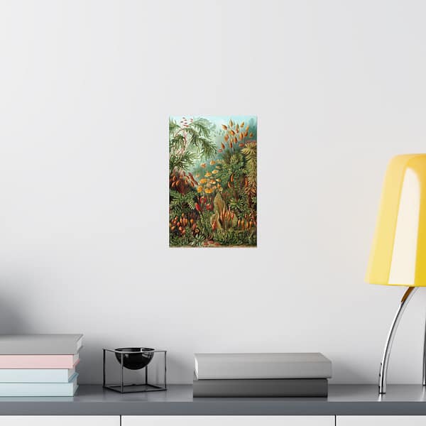 15546411822822223836_2048.jpeg Mosses (Muscinae), Kunstformen der Natur – Ernst Haeckel (1904) – Botanical Poster Print